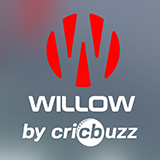 Willow Cricket